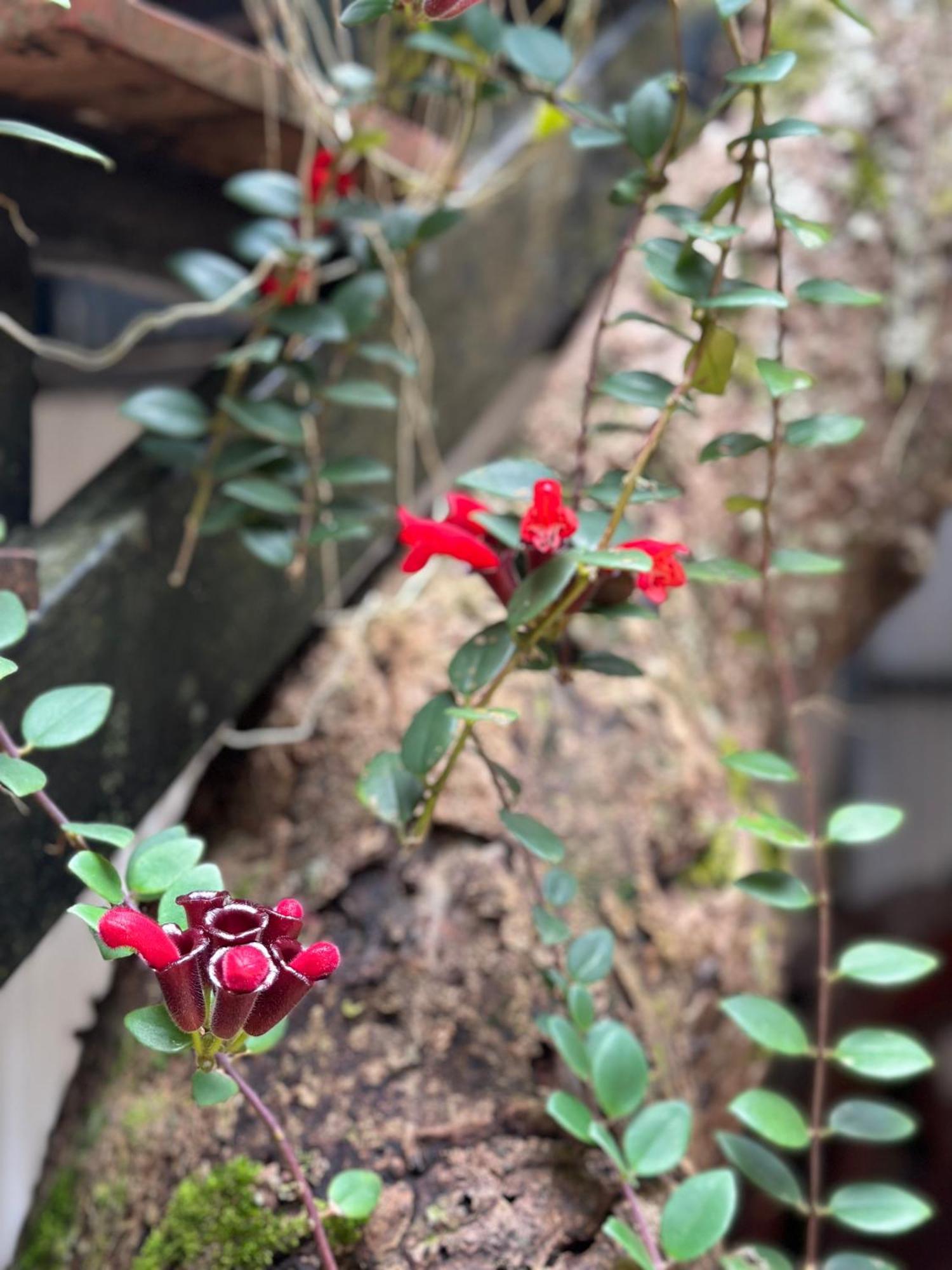 Nua Tone Resort Bang Tao & Cafe エクステリア 写真